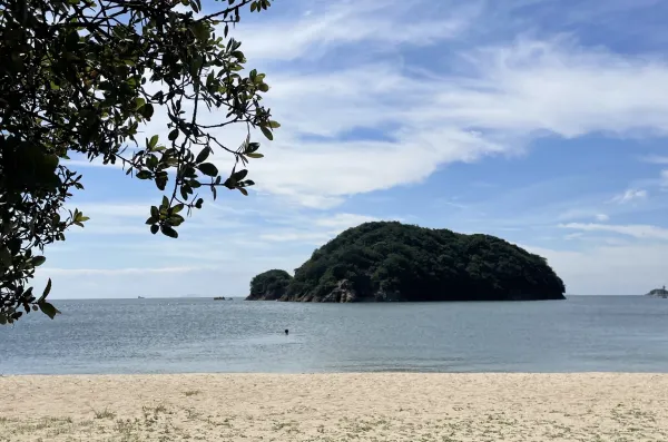 海の画像